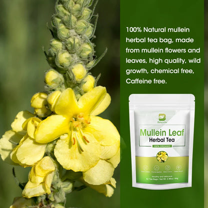 MULLEIN LEAF TEA
